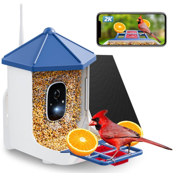 Solareye B6 2K HD Color Night View Bird Feeder - Solareye