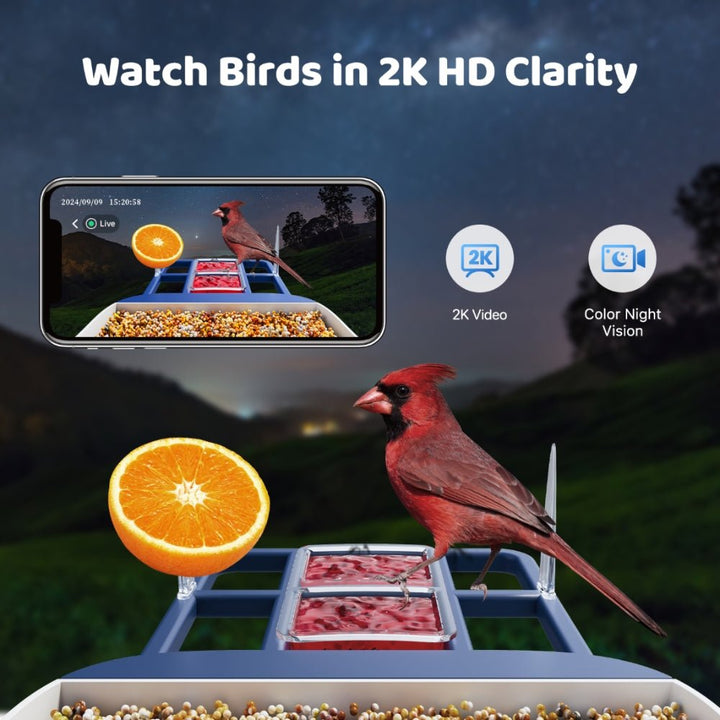 Solareye B6 2K HD Color Night View Bird Feeder - Solareye