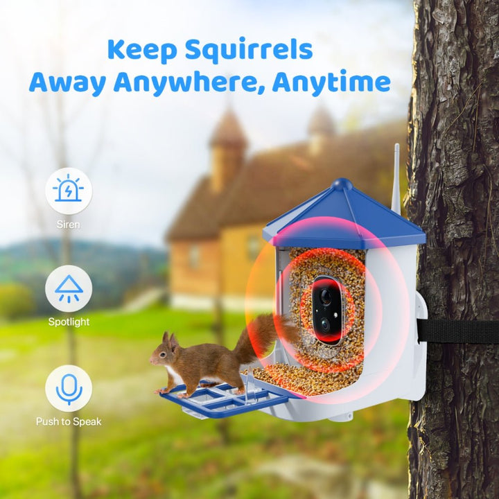 Solareye B6 2K HD Color Night View Bird Feeder - Solareye