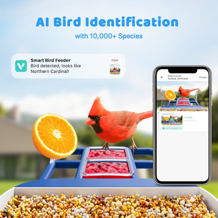 Solareye B6 2K HD Color Night View Bird Feeder - Solareye