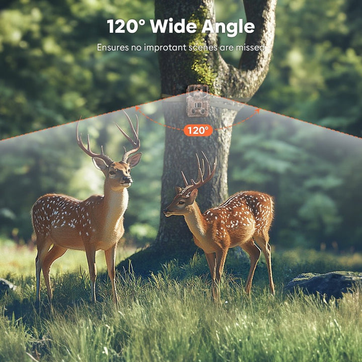 Solareye SV - TCKW 64MP 4K WiFi Trail Camera - Solareye